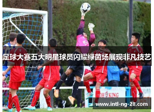 足球大赛五大明星球员闪耀绿茵场展现非凡技艺